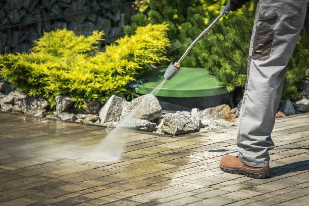 Best Driveway Pressure Washing  in San Diego, TX